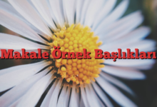 Makale Örnek Başlıkları