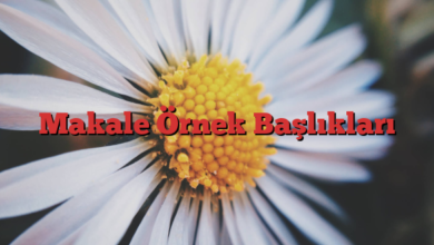 Makale Örnek Başlıkları