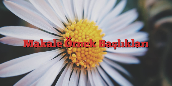 Makale Örnek Başlıkları