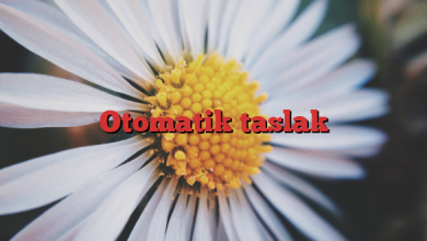 Otomatik taslak