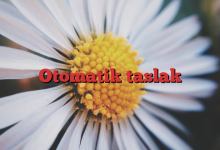 Otomatik taslak